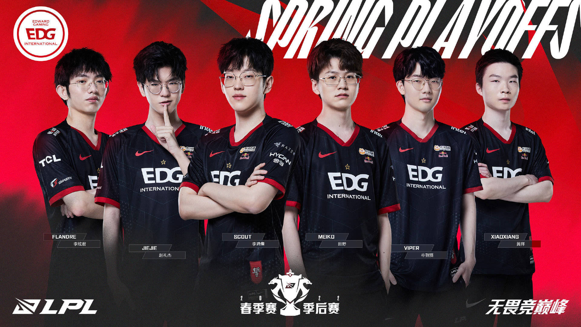 IP的品牌 IP的品牌